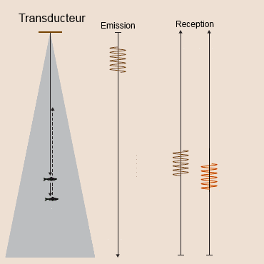 Séparation de cible des sondeurs